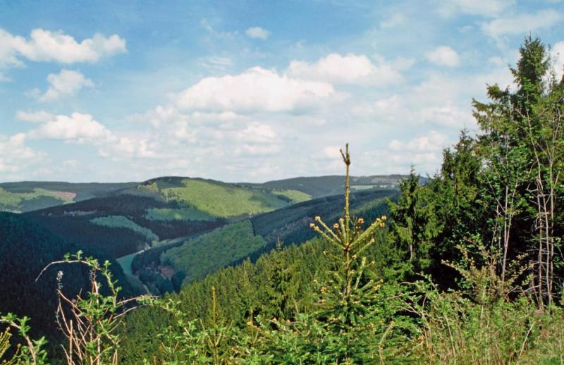 Bild Nr. 3