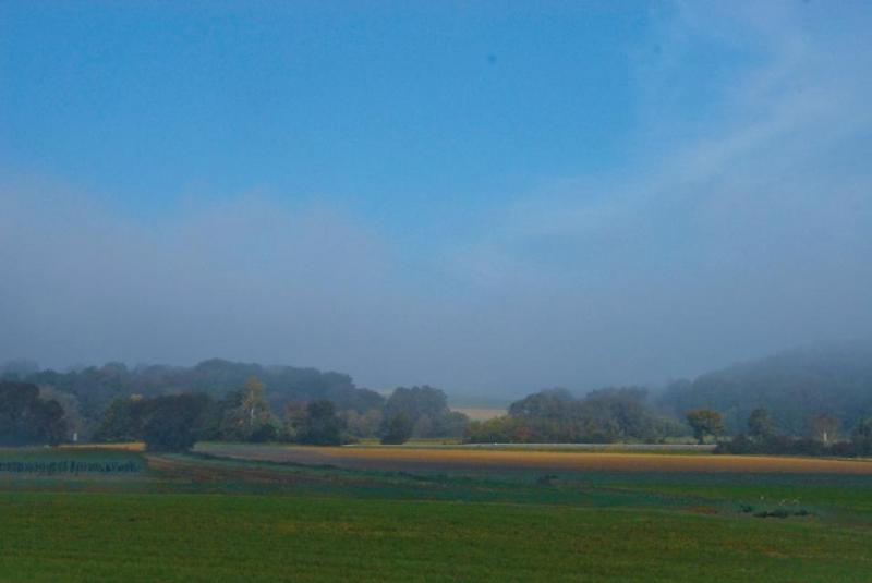 Bild Nr. 2