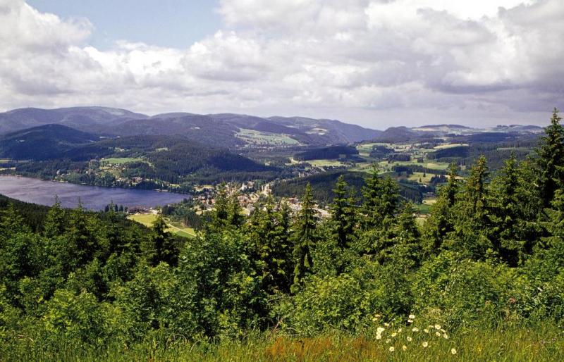 Bild Nr. 4