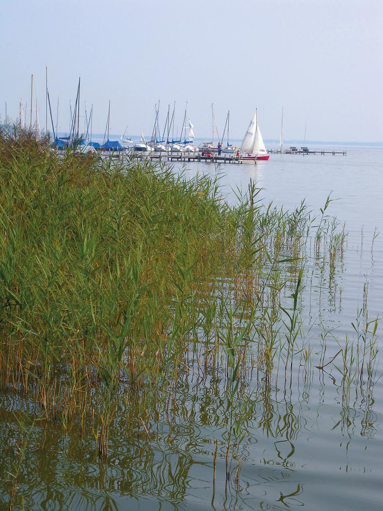 Bild Nr. 2