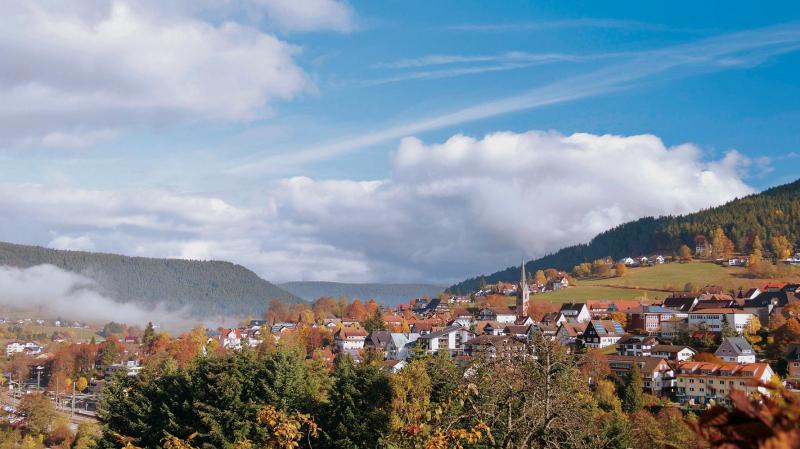 Bild Nr. 3