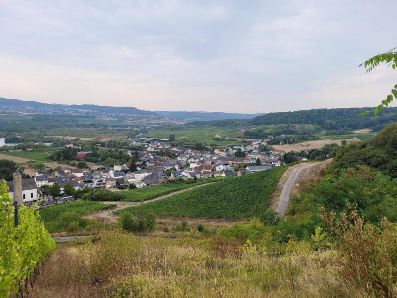 Naturschutzgebiet Baggerweieren Haff Réimech - Wandern | KOMPASS