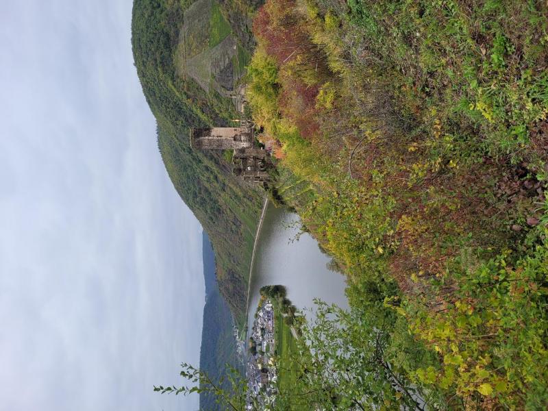 Bild Nr. 11