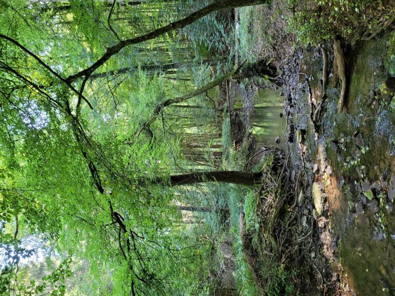 Bild Nr. 6