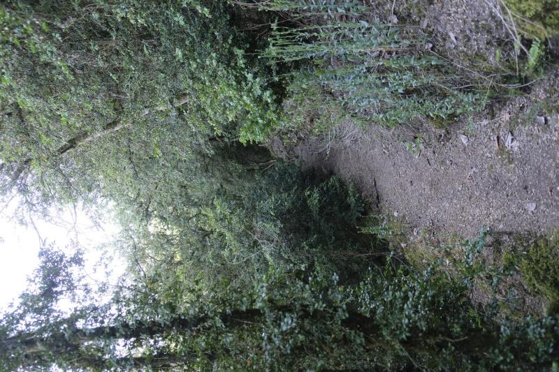 Bild Nr. 3