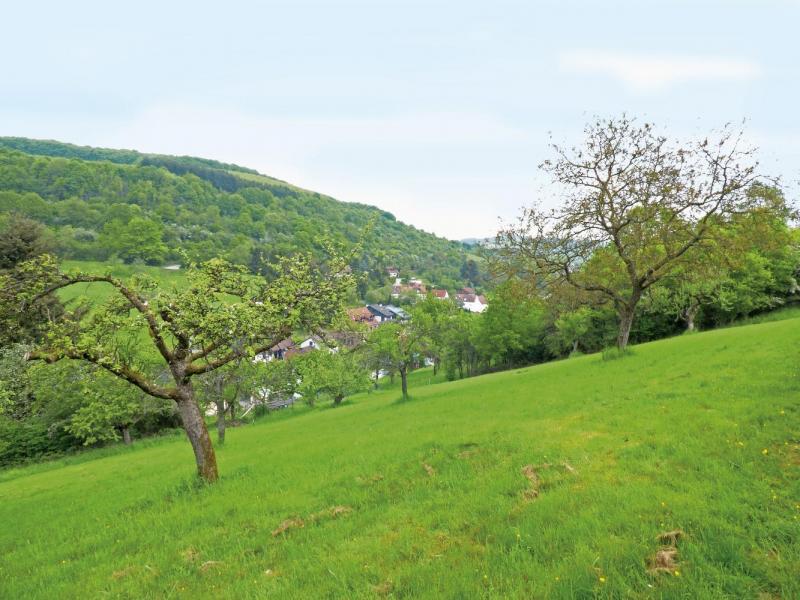 Bild Nr. 4