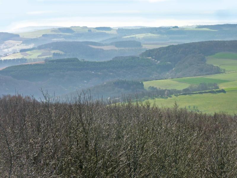 Bild Nr. 6