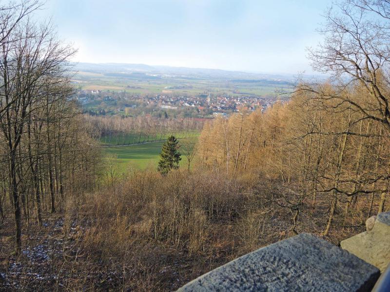 Bild Nr. 5