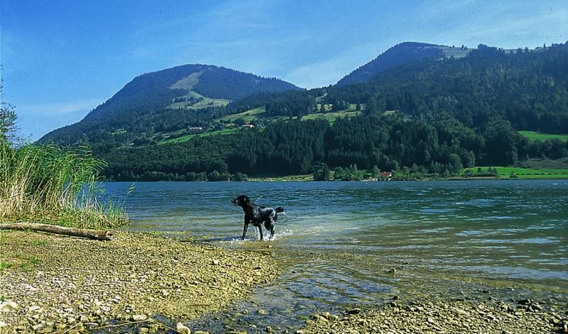 Bild Nr. 4