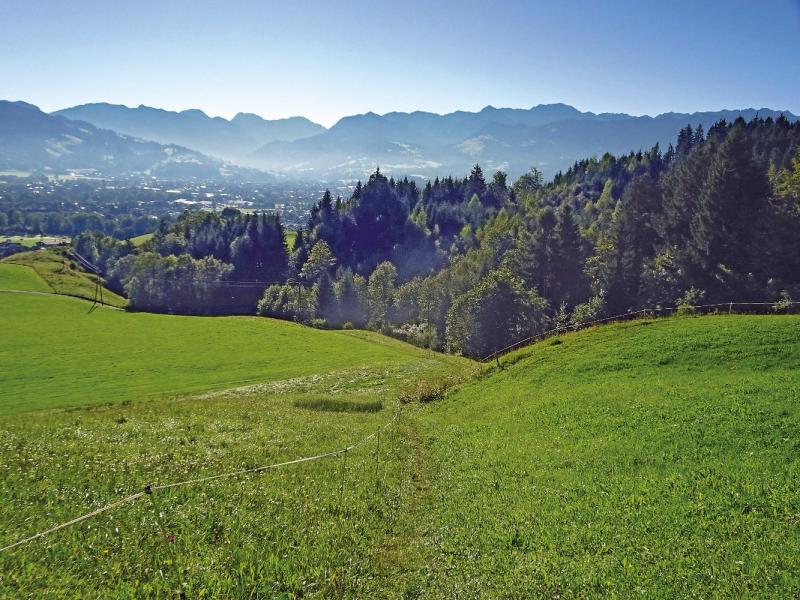 Bild Nr. 3