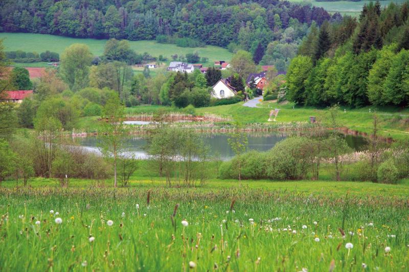 Bild Nr. 5