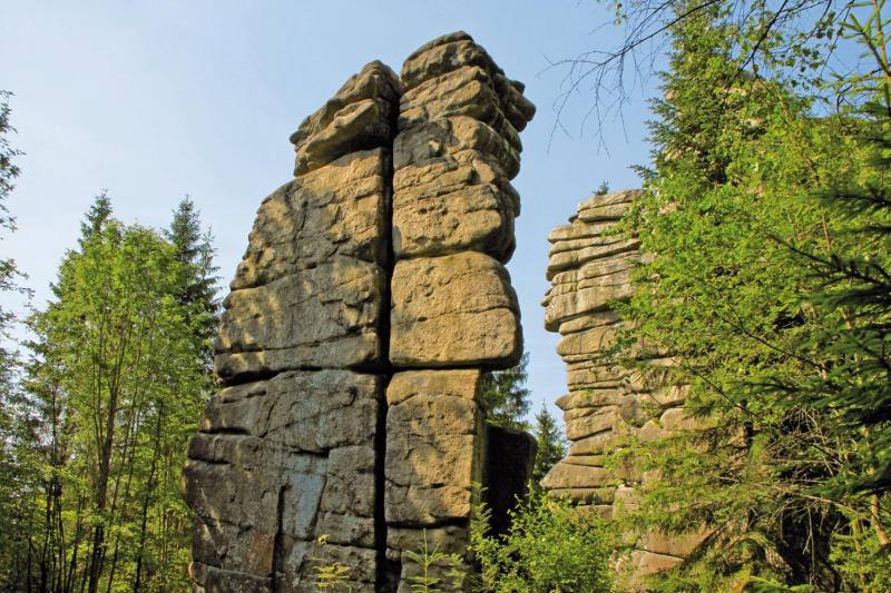 Bild Nr. 6