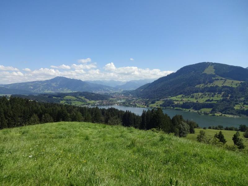 Bild Nr. 4