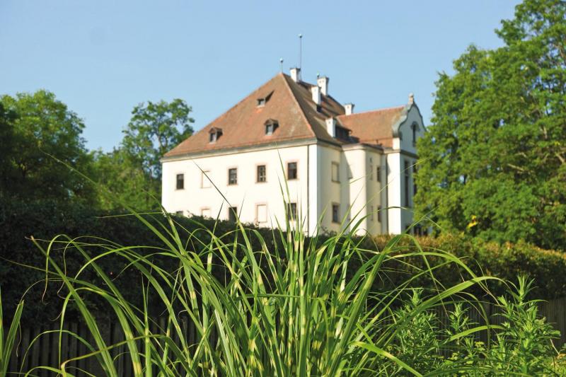 Bild Nr. 6