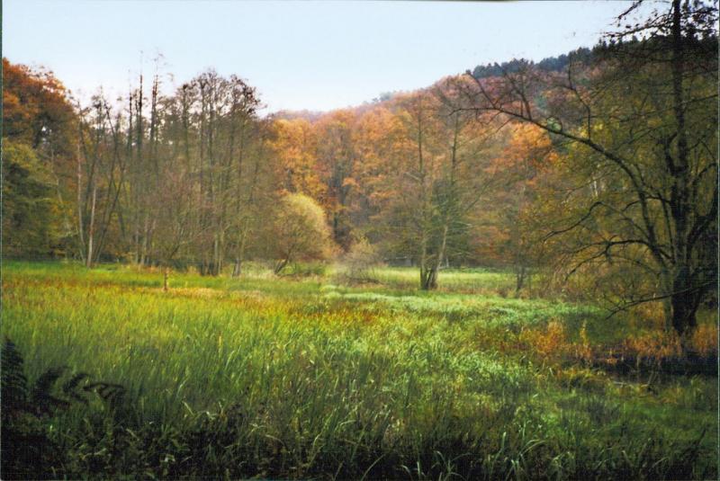 Bild Nr. 3