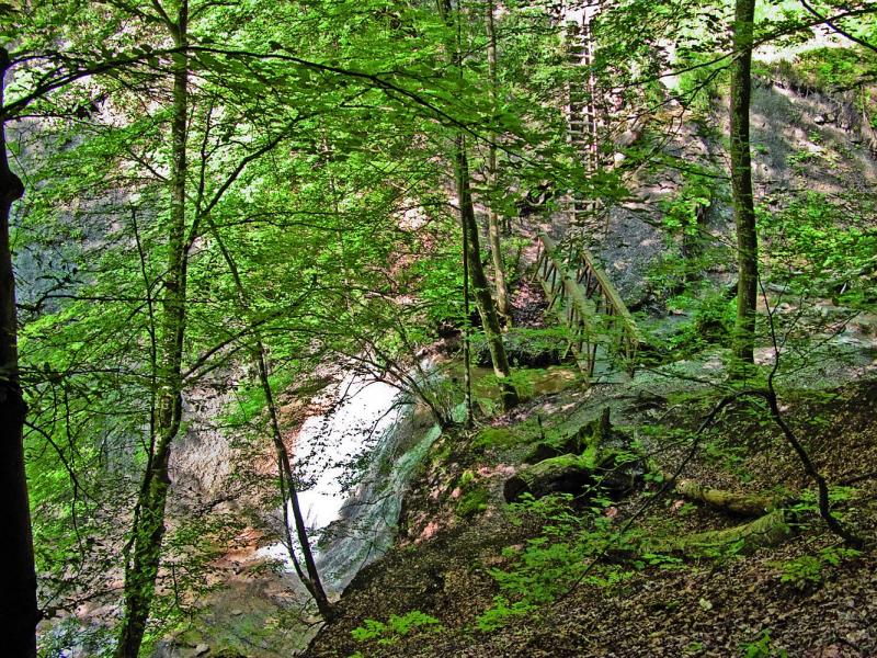 Bild Nr. 11