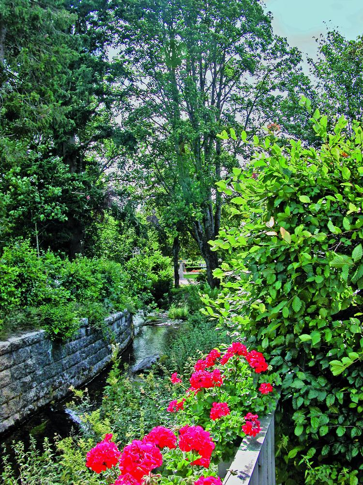 Bild Nr. 9