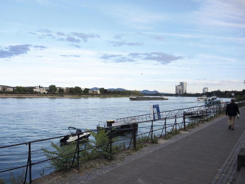 Bild Nr. 6