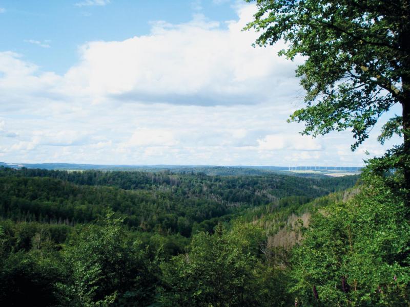 Bild Nr. 2