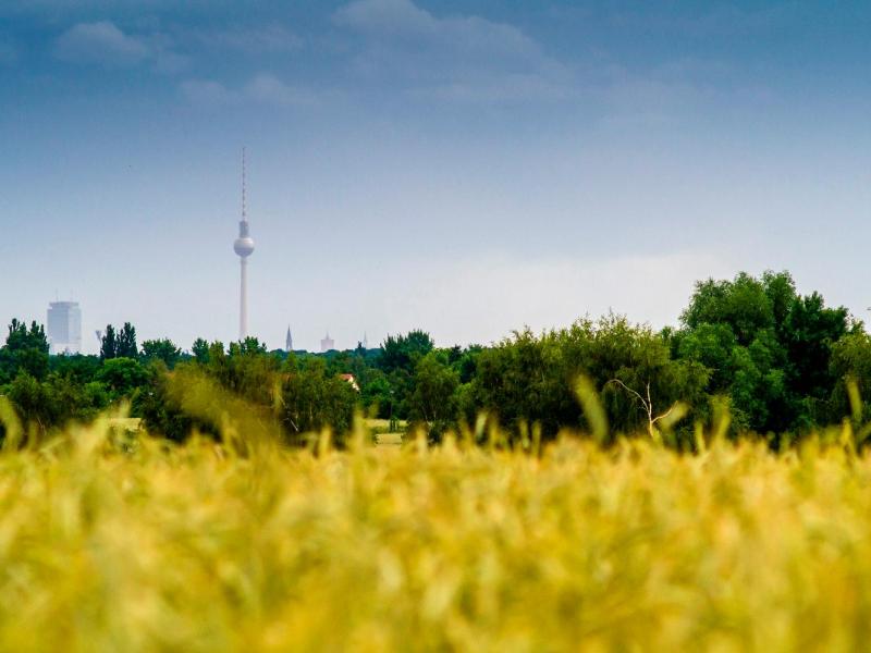 Bild Nr. 3