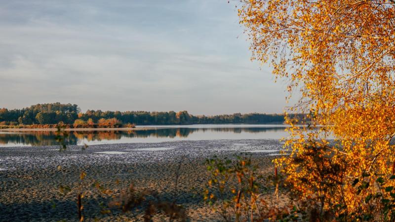 Bild Nr. 9