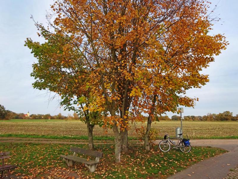 Bild Nr. 4