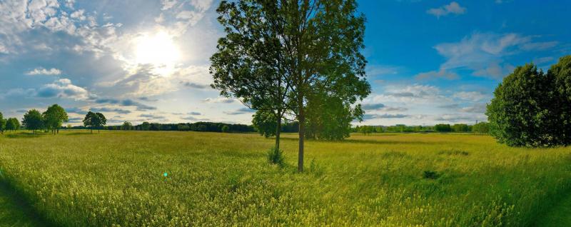 Bild Nr. 4