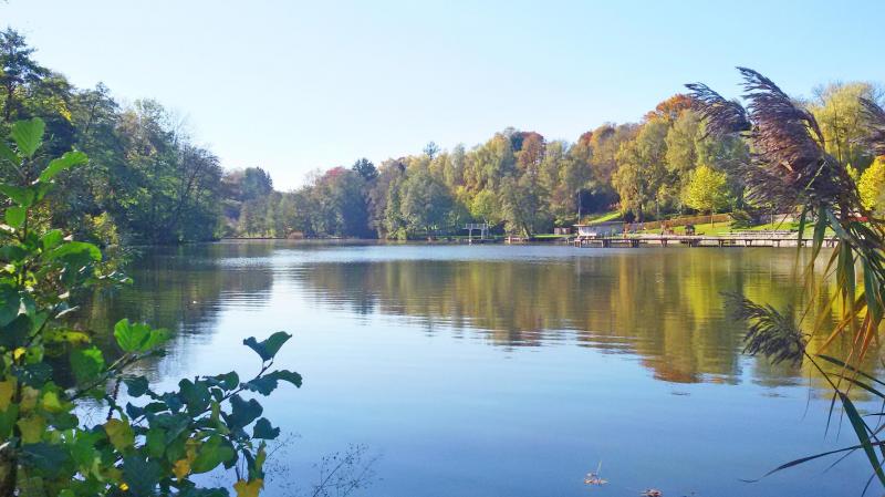 Bild Nr. 2