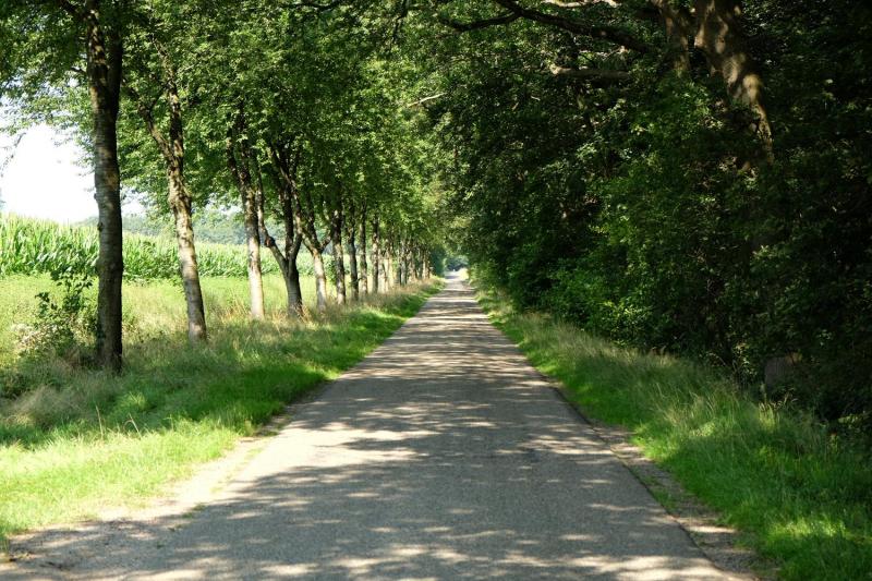 Bild Nr. 2