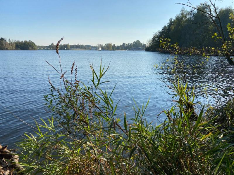 Bild Nr. 2