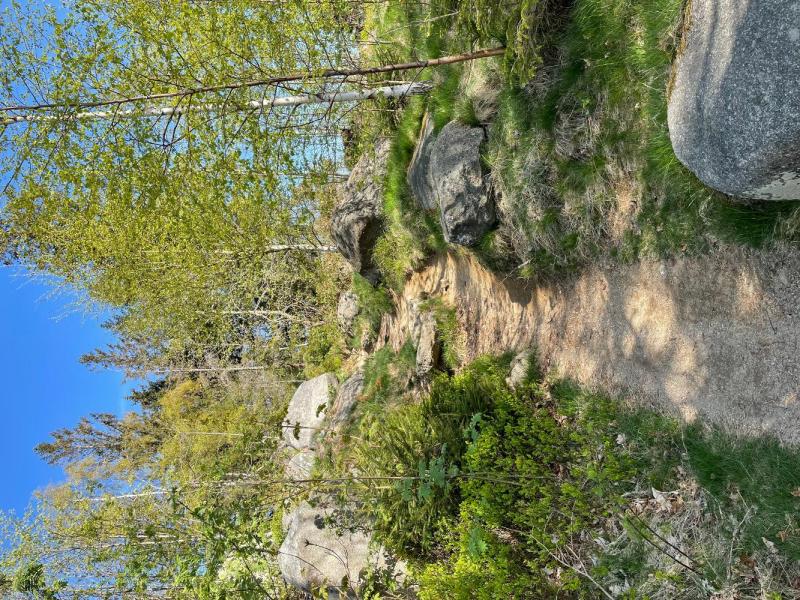 Bild Nr. 4