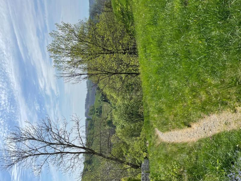 Bild Nr. 3