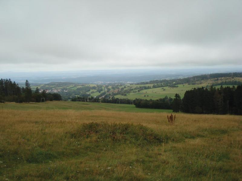 Bild Nr. 3