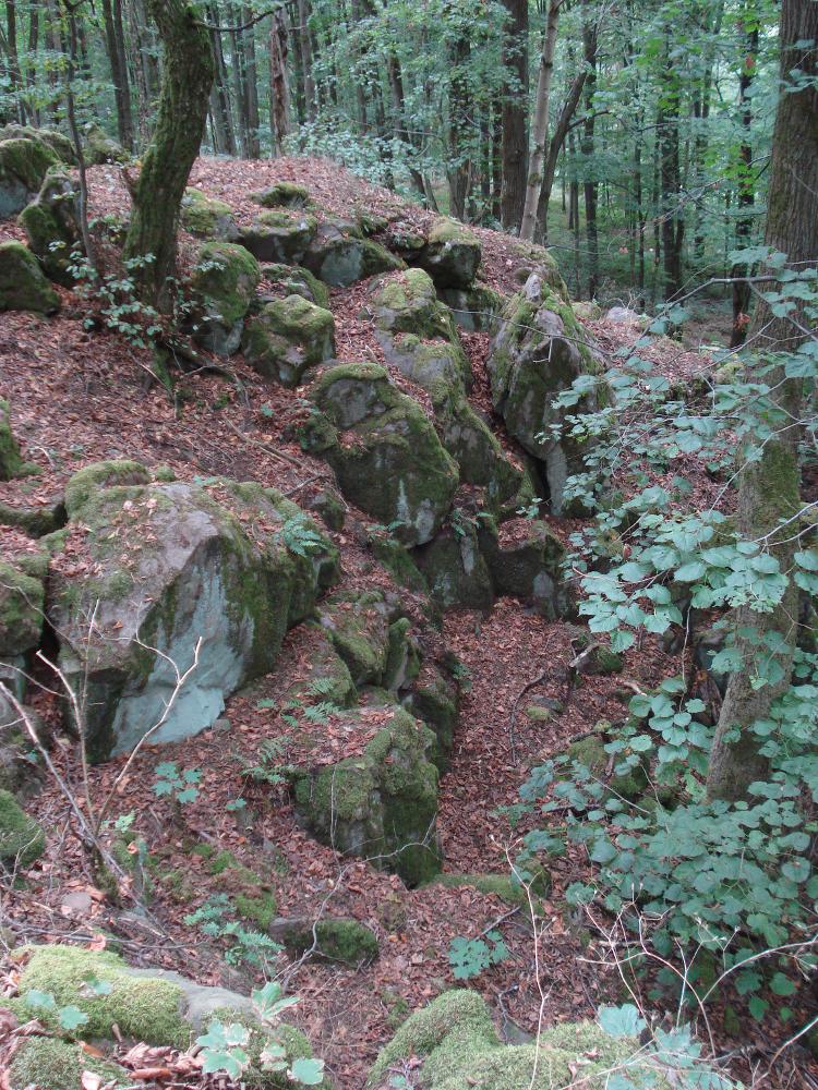 Bild Nr. 2