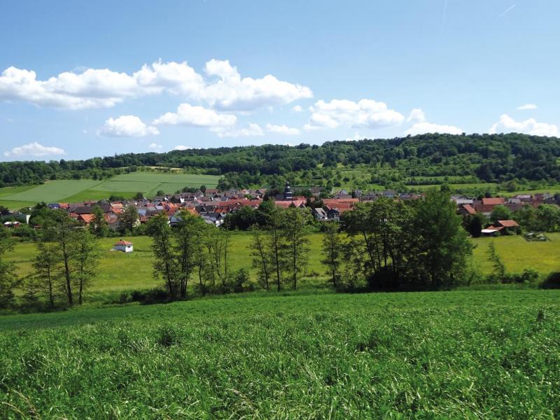 Bild Nr. 3