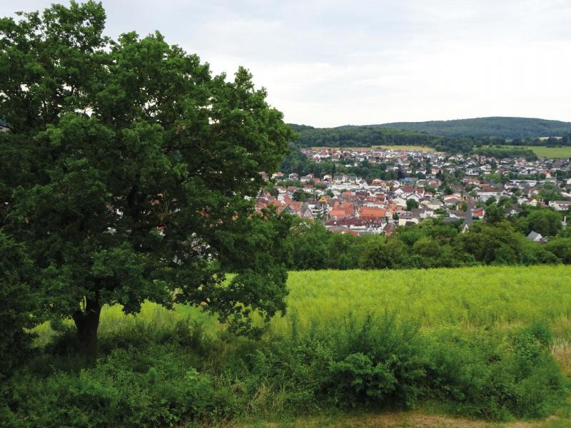 Bild Nr. 2
