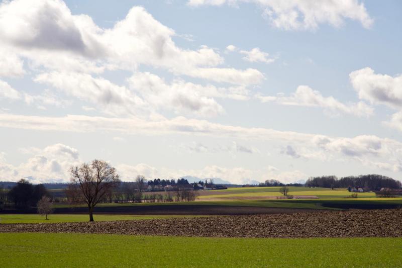 Bild Nr. 4