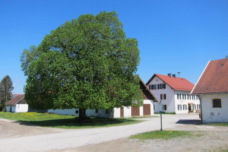 Bild Nr. 4