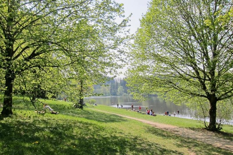 Bild Nr. 6