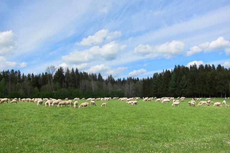 Bild Nr. 4