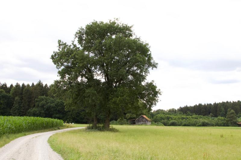 Bild Nr. 2