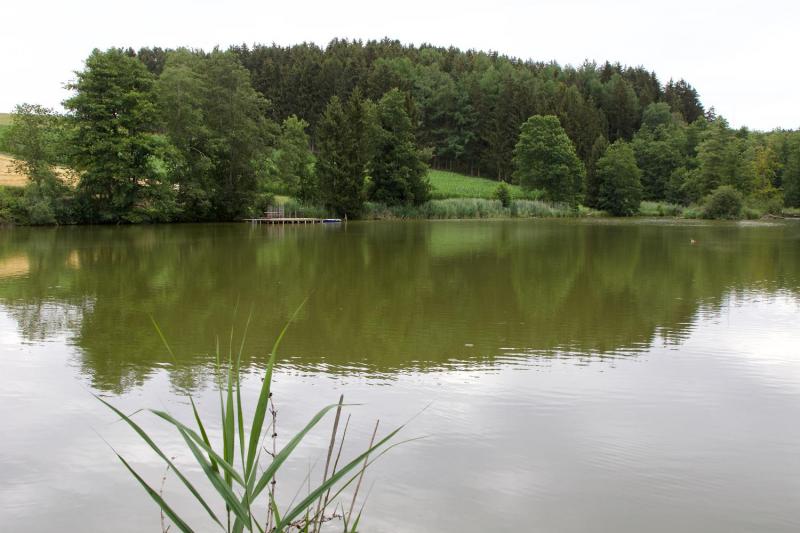 Bild Nr. 5