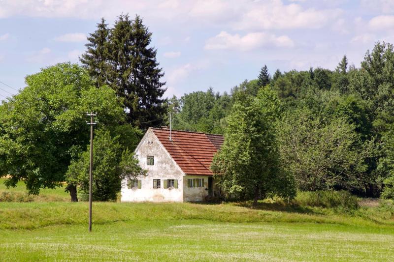 Bild Nr. 5