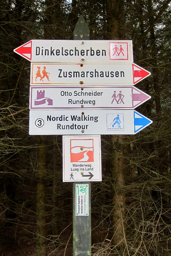 Bild Nr. 4