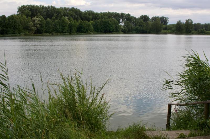 Bild Nr. 4
