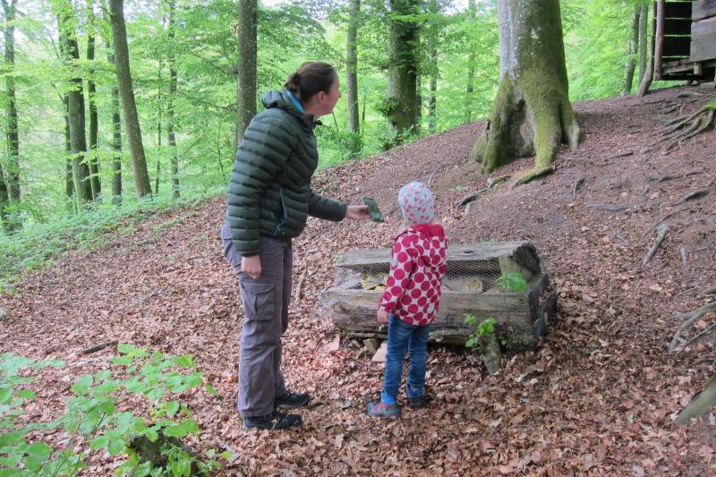 Bild Nr. 3