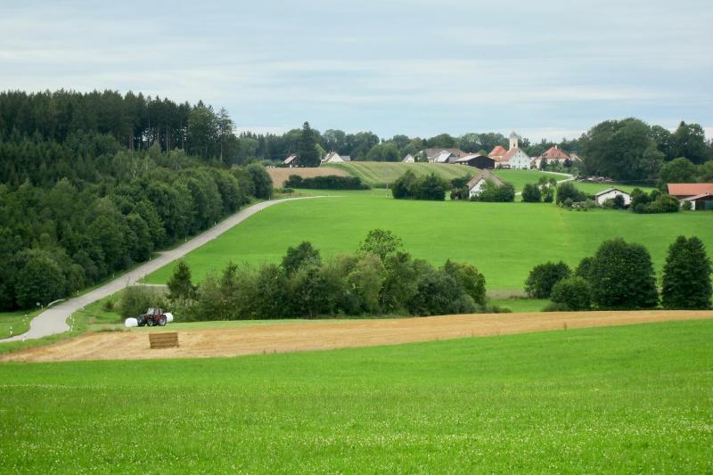 Bild Nr. 5