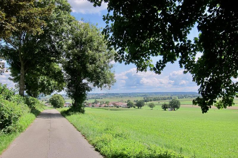 Bild Nr. 4