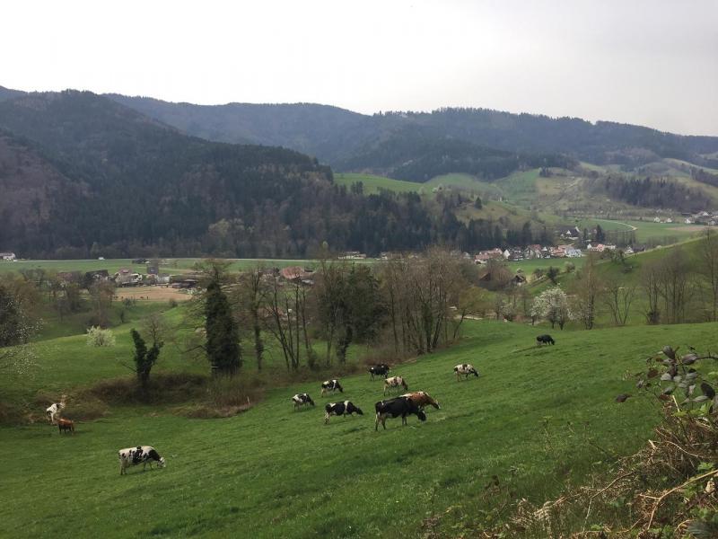 Bild Nr. 2