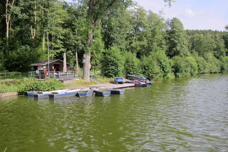 Bild Nr. 4